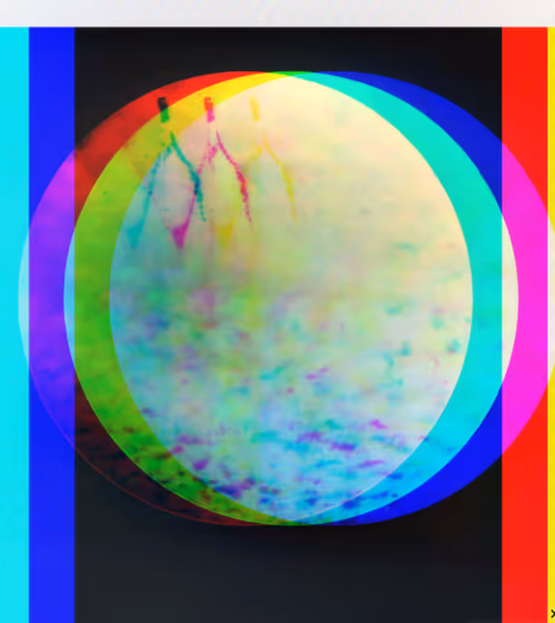 Item #30139594943823599348350082756682769269323401703463002828346351118666442997780 Media