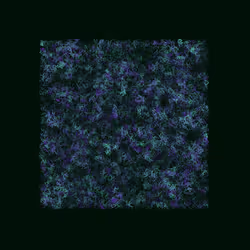 12032733712256437664215437925069129638151898554142308319368358830078217420801