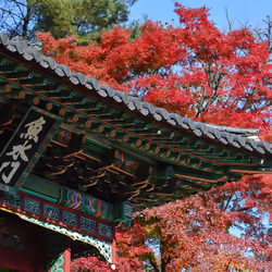 Changdeokgung Palace