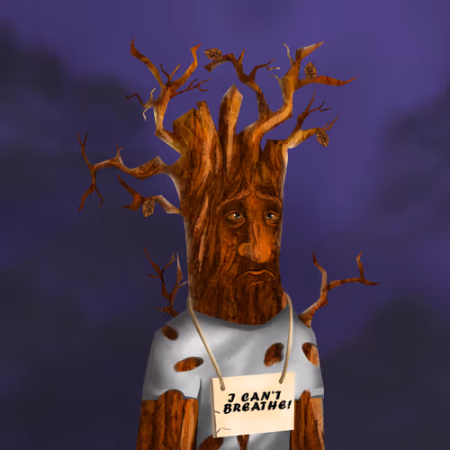 Item #38969088093190670381878411557565580659447067316565611691845277217806302052353 Media