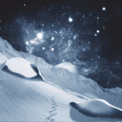 Space Life