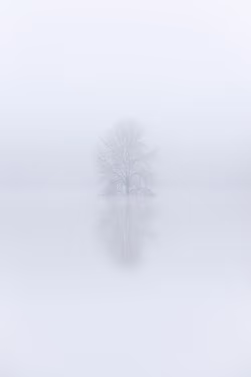 Item #39071023685345521589531013450918722216572370939070752972983331668515063070721 Media