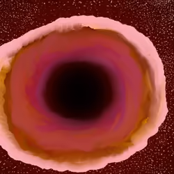 Cosmos #50