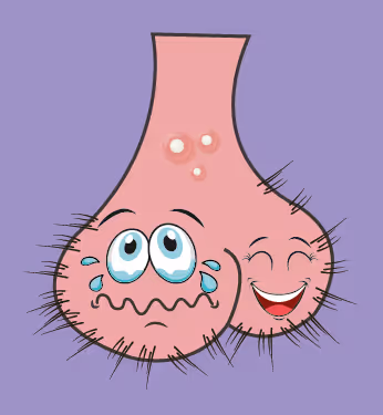 Item #22793047471806318065020766672709763262679883798276267629942526065871712944129 Media