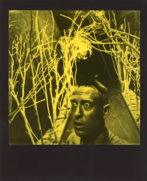 Item #103925043226850068411214111980778021596201122013188060205337914410391482400769 Media