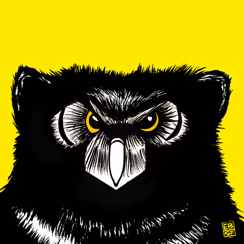 Item #12256084541221245156135028986021526634136884921740396050173767670799995502593 Media