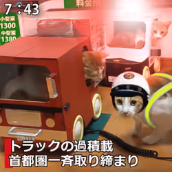 猫トラックの「過積載」首都圏一斉取り締まり