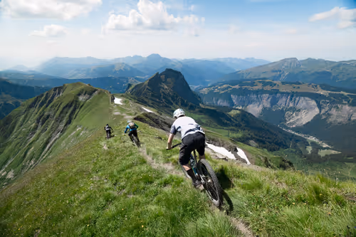 Item #100568244476551221138828286502777824514190158679998123651625085633533229137921 Media