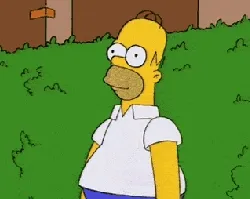 Awkward Homer
