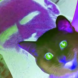 4747115153065902387790593868107453782499677024781155622119190000497032429569