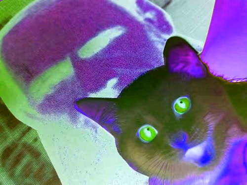 Item #4747115153065902387790593868107453782499677024781155622119190000497032429569 Media