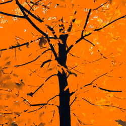 #31846488008344445208756612302396674487358542557484320740737976430004573044737