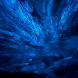 Shape of Ice