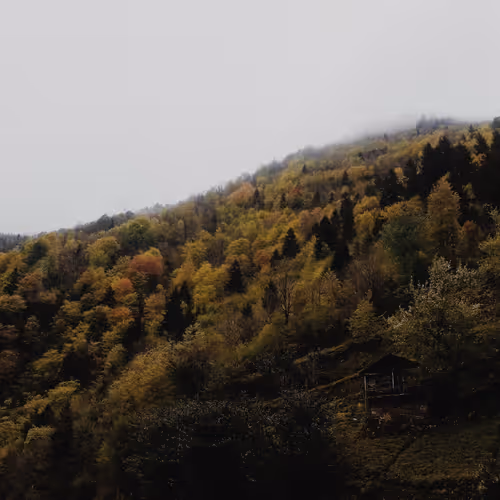 Plateau, Rize