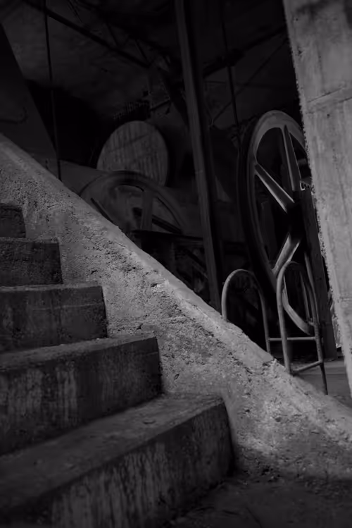 Item #29338470736162432658503928351875651882775793096611779186830202198036142096385 Media