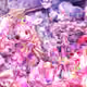 32427530169977510483649524825972234289037793943714800736830764246915746889729