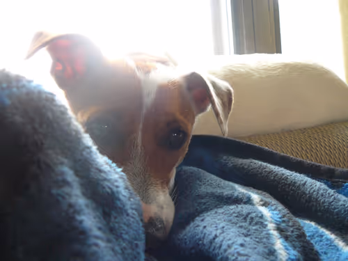 Item #5985210497355107417265215381210579199842884272282595265964883460588470009857 Media