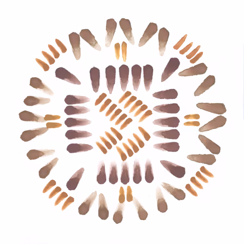 Item #111264774895172989553606282022194155892745764425417346937131400255388554100737 Media