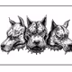 51499757644781660246847692169683085774518035557176215201317115692060719972353