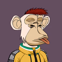 19673765717069545050496428251809558002236606170588446154753563373999176548353