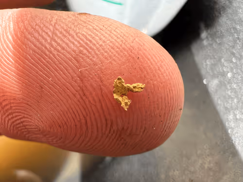 Untitled Collection #13807