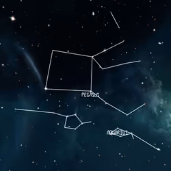 #4 Constellation