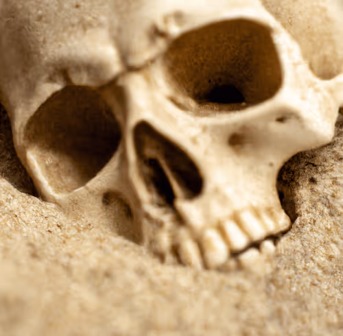 Untitled Collection #3360106602