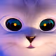 39283789844453988720093692100699506045470044475079123721548031444868522835969