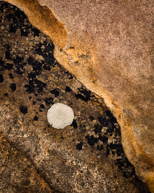 Item #92025450797269199699519638407999947828010124563072321716364901910045700128769 Media