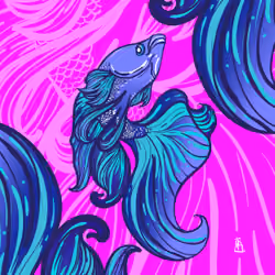 Betta Fish Thailand#03