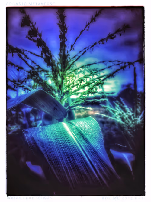 Item #3787080761074609709675817509753112159059746763483256848434353613871501017093 Media