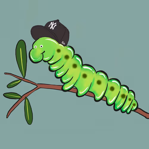 Item #63394889464776947640994999177042947820752530038038357440375934248268576325633 Media