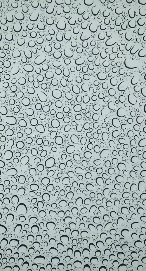 Item #51690675638909644790966826113213763437997288927381309606437551956108026839041 Media