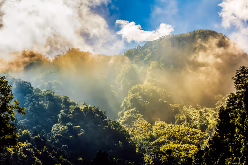 Item #42392629479489844342041238992722917738846266966173652433249185935131345420289 Media