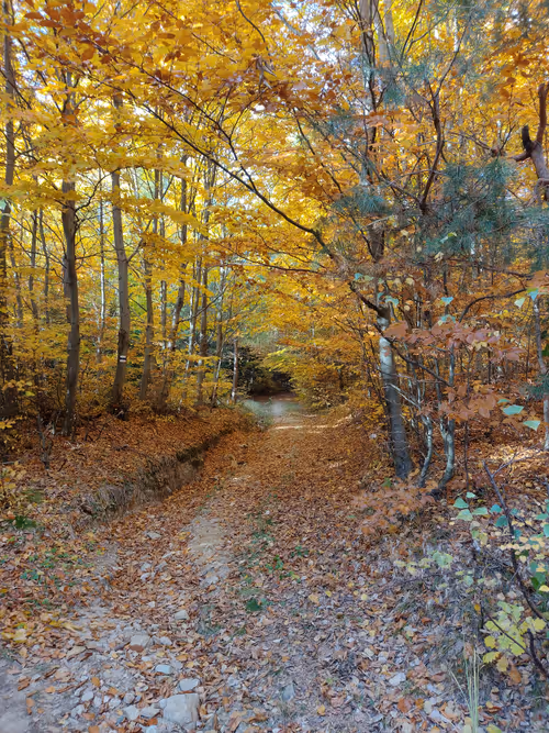 Item #66986805540812077798034480199929320833046015075077578099897003042964343095297 Media