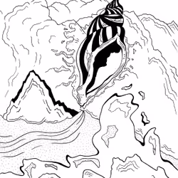 Rocks,conch and water