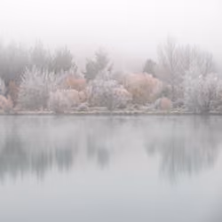 Winter | New Zealand | 4/9