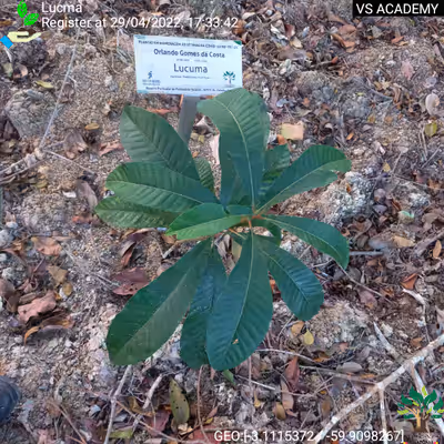 Item #8500196597889277390194123329501889087166328879864934763448348846806058139649 Media