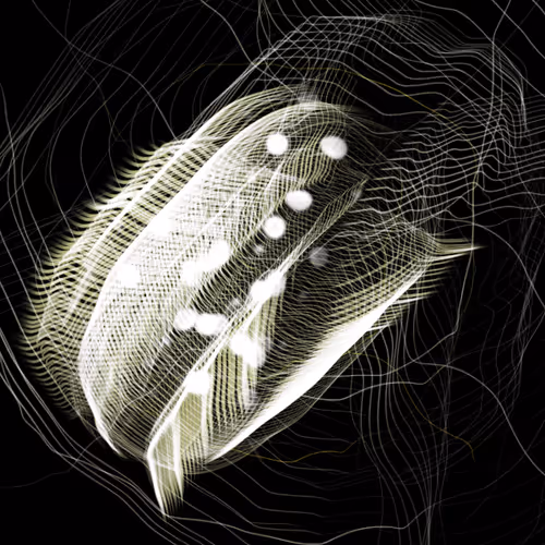 spider coil