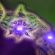 7704875225790757605027437026831856804448209115847003960514498468638042882049