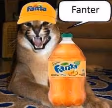fanter 