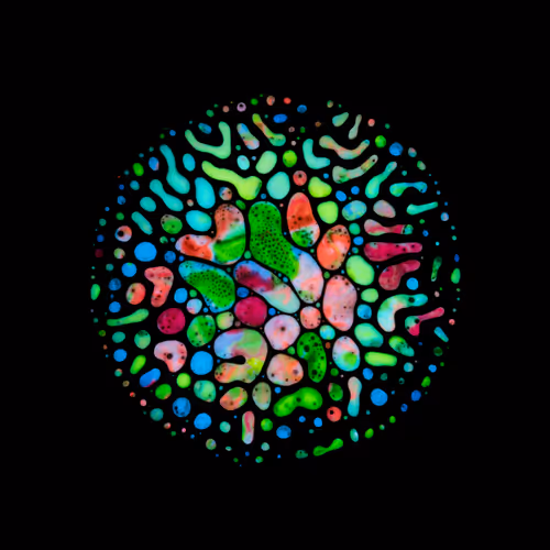 Item #39853347361311550538823328626004824816221754573894422864413753290108226764801 Media