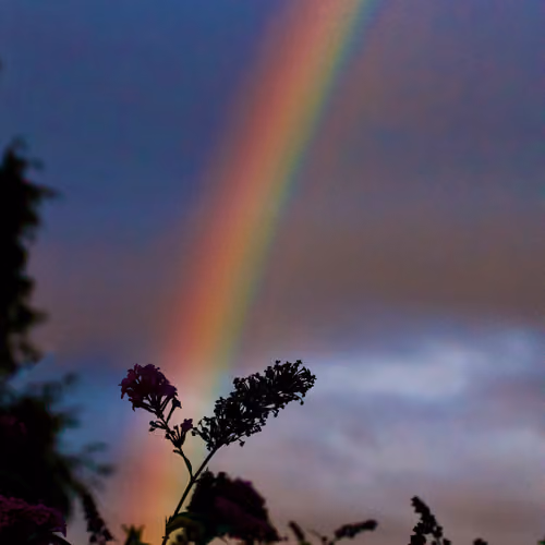 Where The Rainow Ends