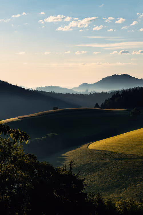 Item #54782985974607347148720532699414835129345073352407786523574901509931875172355 Media