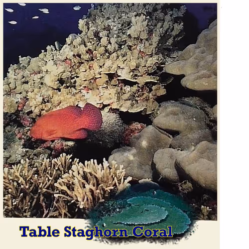 Item #74384147968351040579703062341997949899687300572859929602215661717494574350346 Media