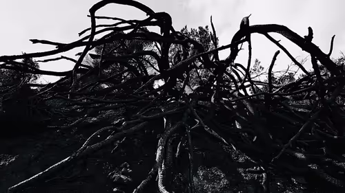 Item #59079374787048524883256222469125282398225416989963189399532038890191537045505 Media