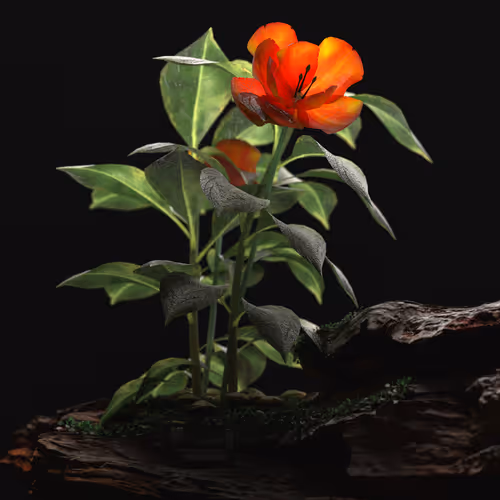 Item #49961916920857922782613206996188314262643025394518229508328647964934660947969 Media