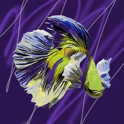 FightingFish#5