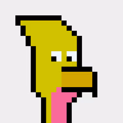 BitBird 40