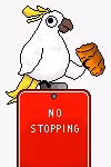 Croissant eating cockatoo
